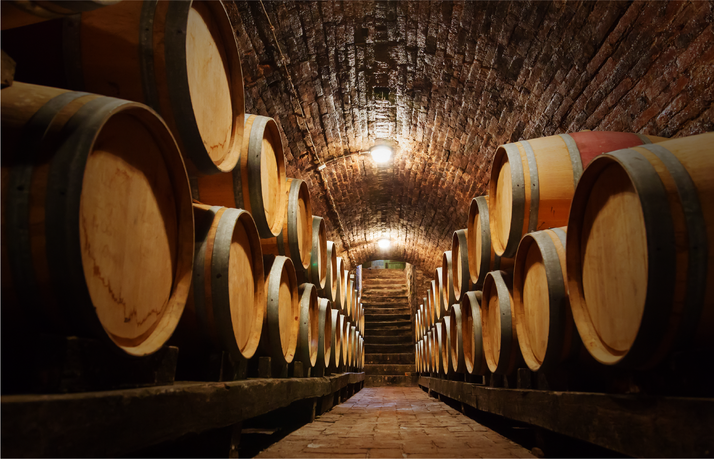 Explorez les saveurs de nosVignobles